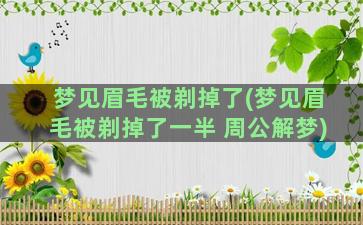 梦见眉毛被剃掉了(梦见眉毛被剃掉了一半 周公解梦)